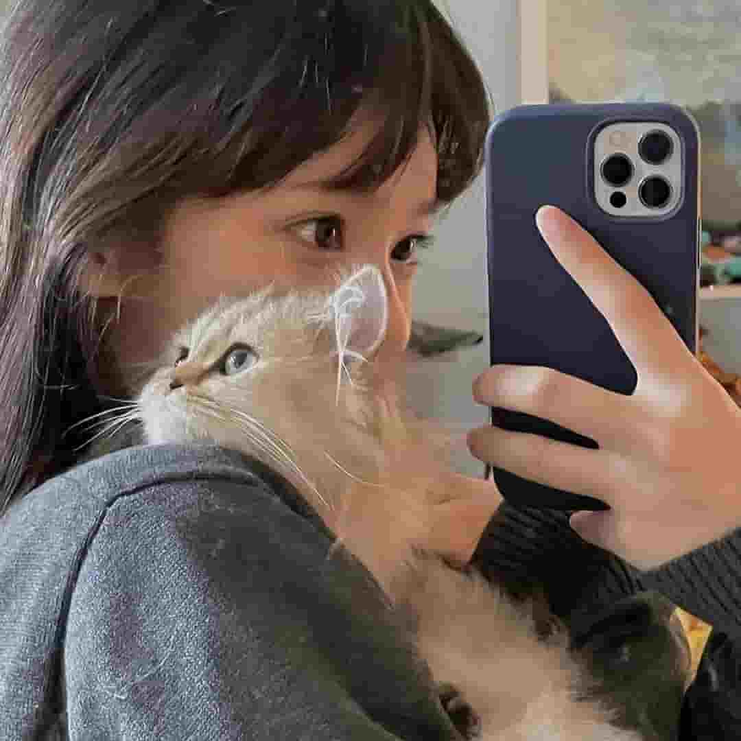 清风与烈酒