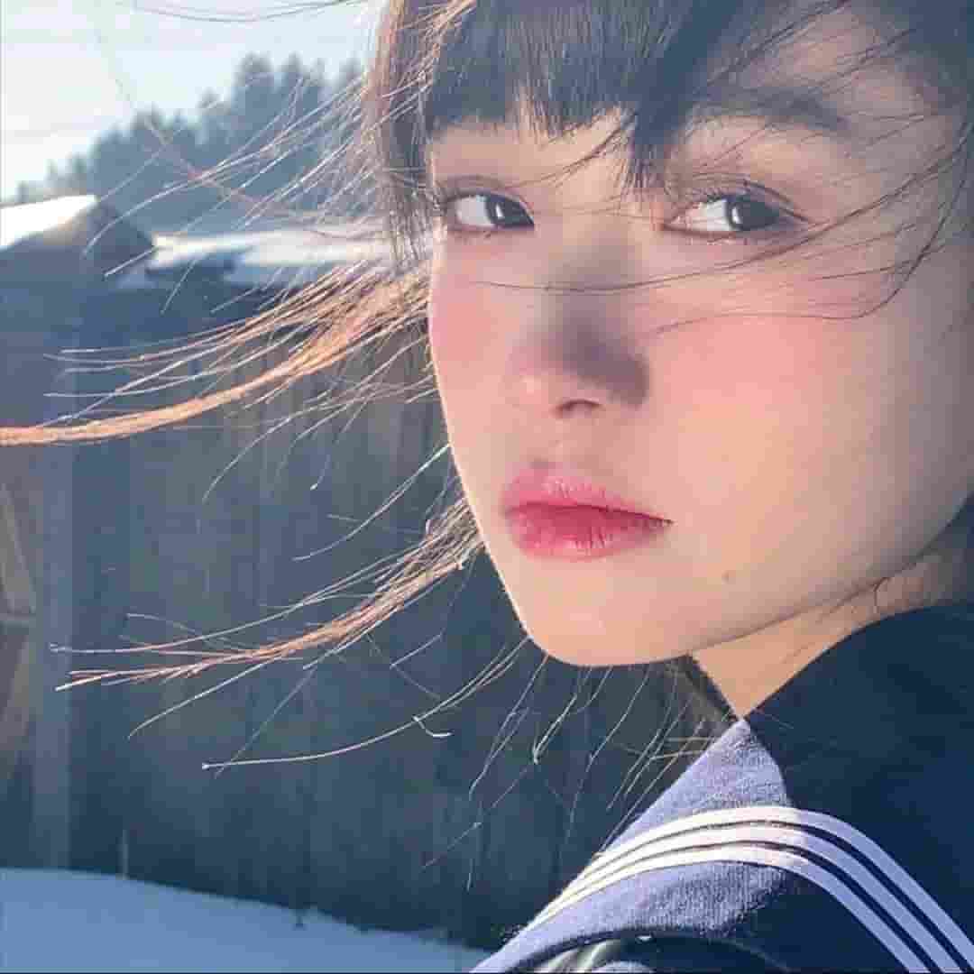 瘠薄狗友
