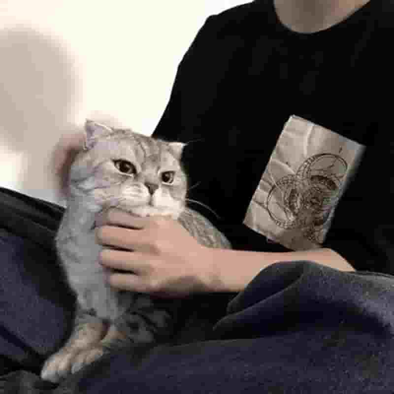 √后备恋人