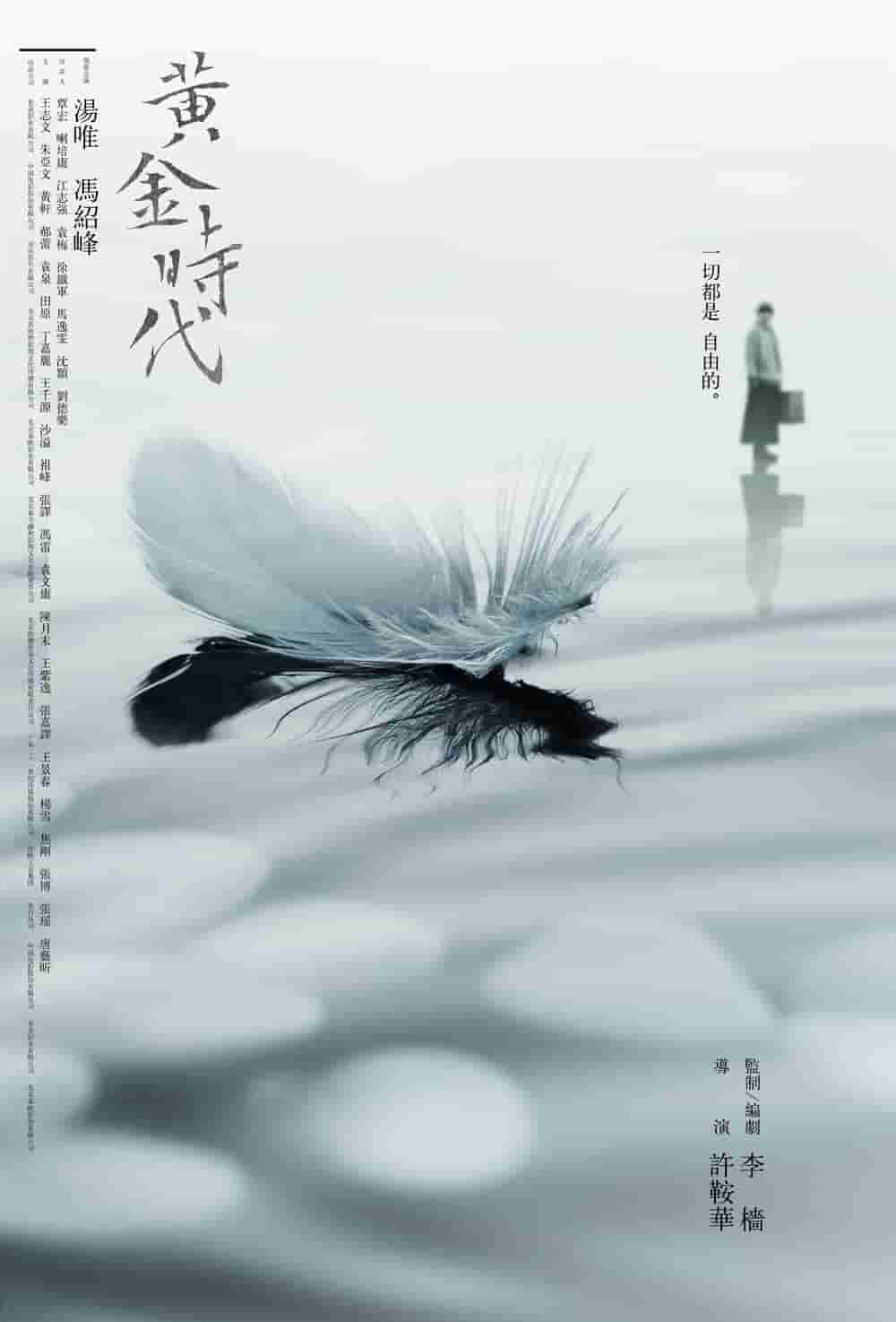军阀战争的电视剧