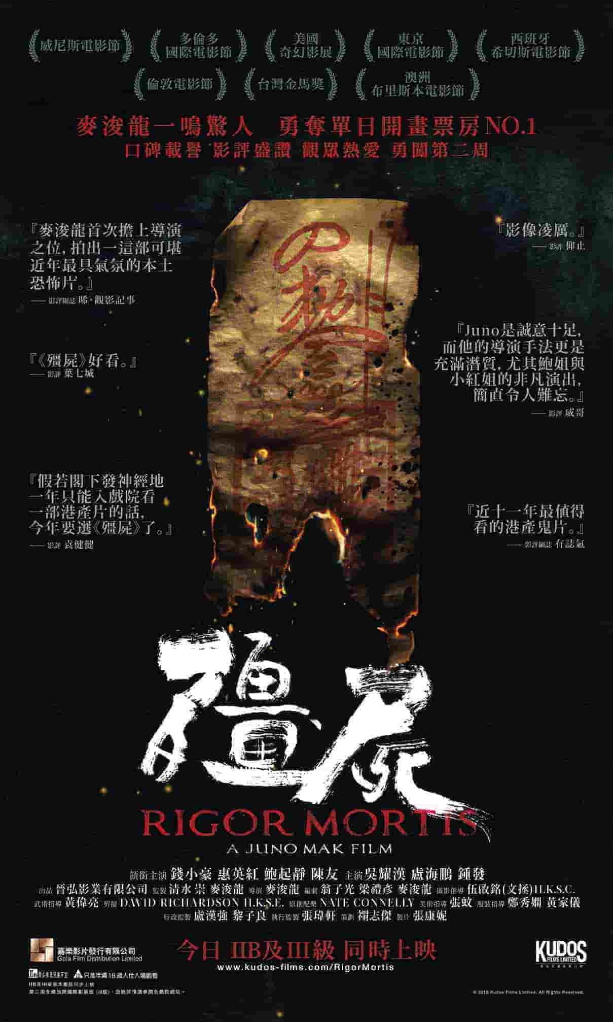 萧蔷主演的所有电视剧