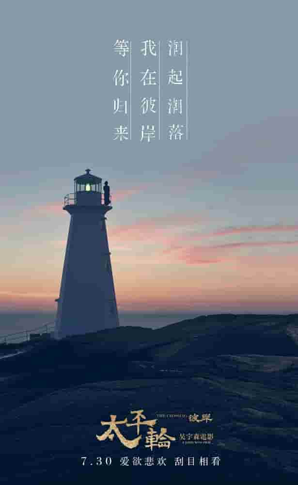 倪萍主演的电视剧月嫂